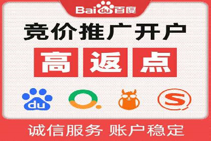 SEM推广策略：成功案例解析